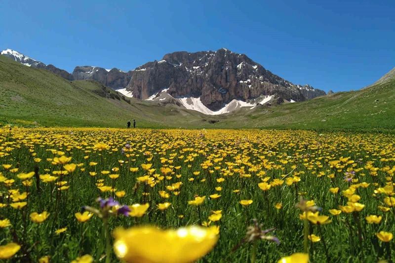 İsviçre Alperi değil, Munzur Dağı’nda ki Merg Yaylası
