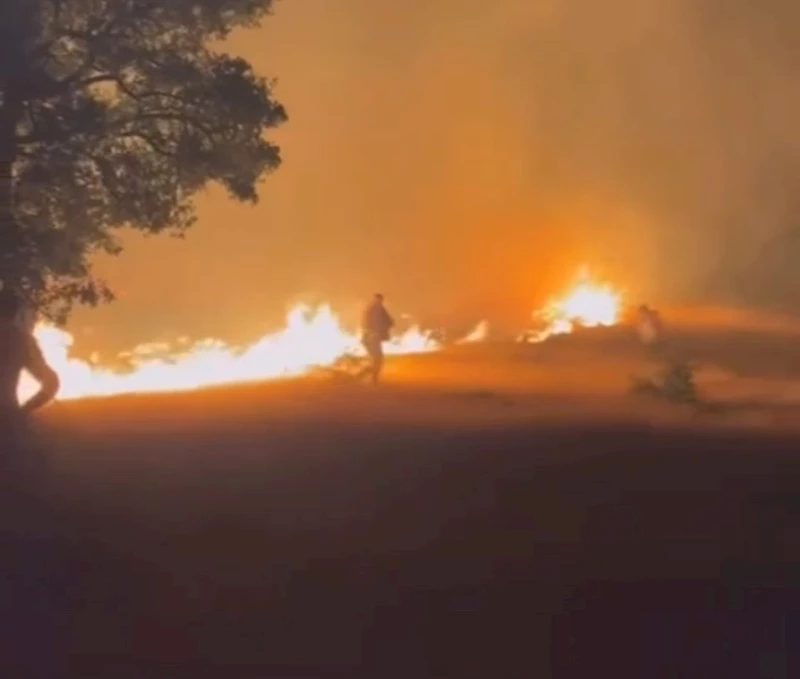 Malatya’da 14 saatte 89 örtü ve orman yangını çıktı
