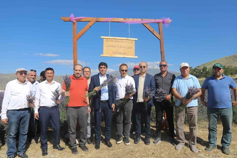 Iğdır Üniversitesi’nde “3. Geleneksel Lavanta Şenliği” coşkusu
