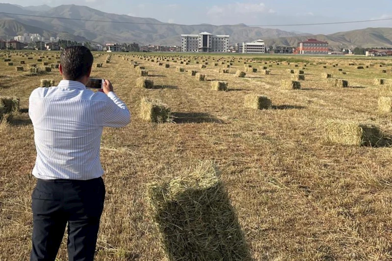 Yüksekova’da yağışlar tarımda verimliliği artırdı
