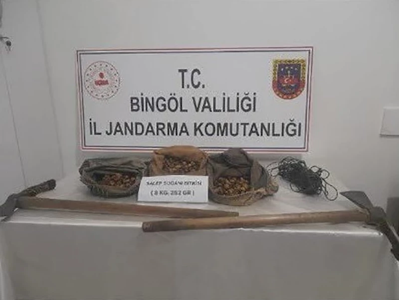 Bingöl’de salep soğanı toplayanlar yakalandı, 1 milyon 161 bin lira ceza kesildi
