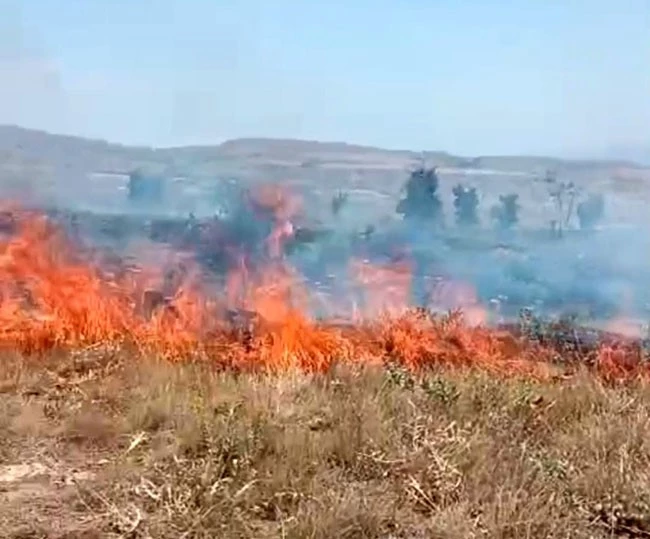 Tunceli’deki arazi yangını söndürüldü

