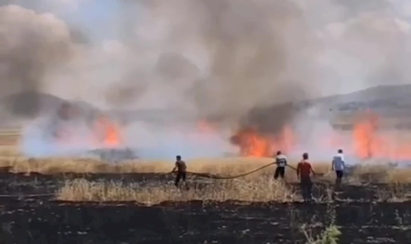 Van’da tarım arazisinde yangın
