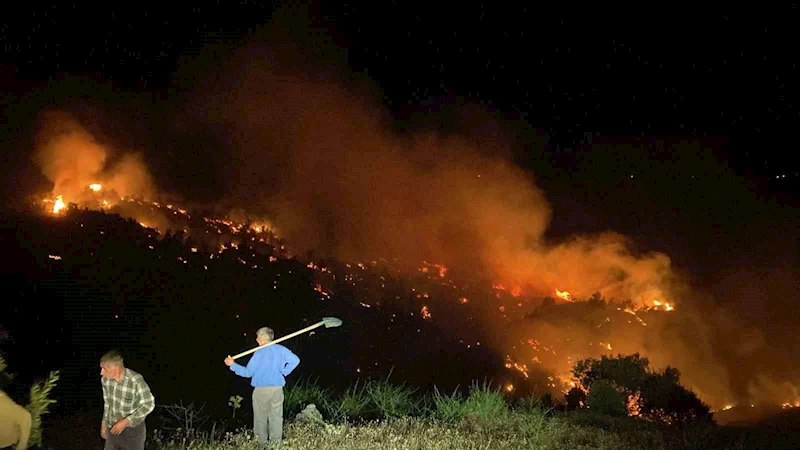 Bingöl’de çıkan orman yangını kontrol altına alındı
