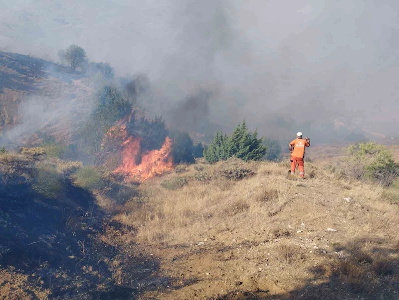 Bingöl’de çıkan orman yangını söndürüldü
