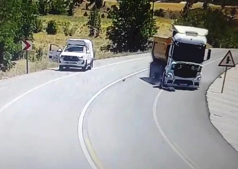 Böyle kaza görülmedi: Yolun ortasındaki yaralı serçeyi kurtarmak isterken kamyon çarptı

