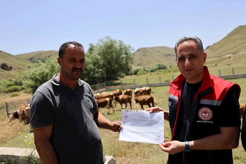 Kars hayvancılığında “Hastalıktan Ari İşletme” dönemi başlıyor
