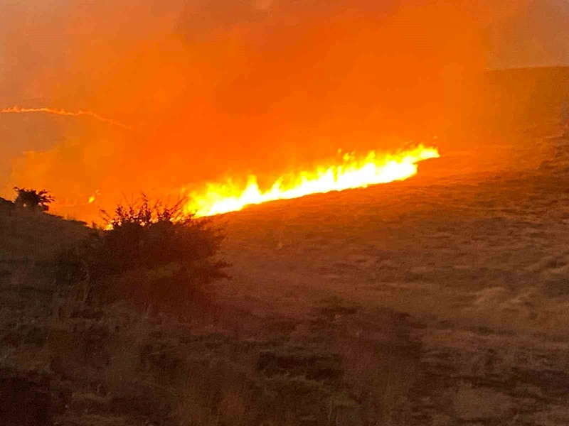Malatya’da yüzlerce dönüm alanda anız yangını
