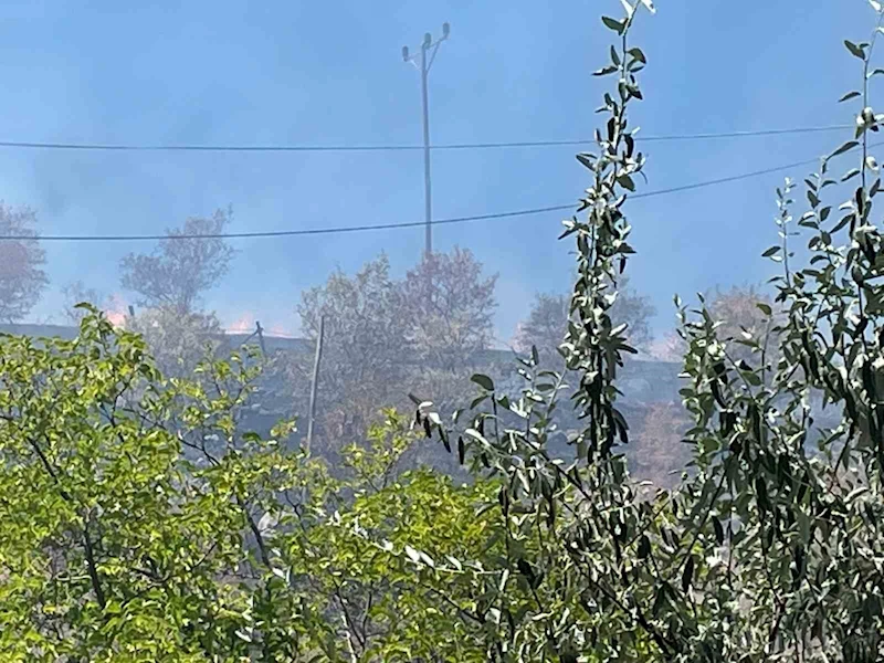 Arguvan’da çıkan yangın meyve ağaçlarına zarar verdi
