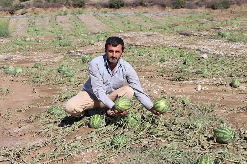 Sel Erzurum’da karpuz tarlasını vurdu
