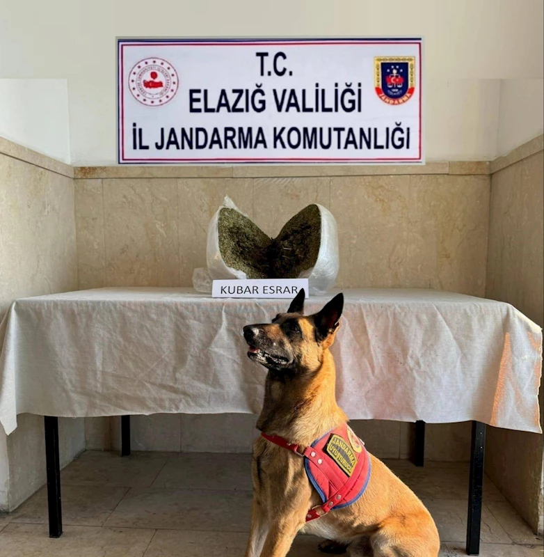 Elazığ’da 7 kilo esrar ele geçirildi: 1 gözaltı
