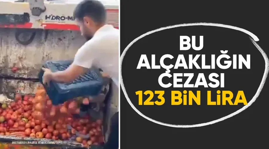 Burdur’da domatesleri çöpe döken işletmeye 123 bin lira ceza