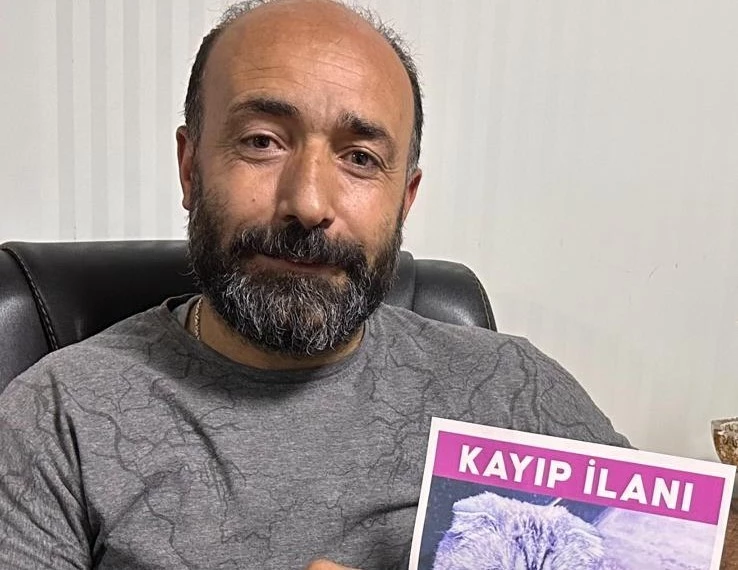 Kayıp kedisini bulunana 15 Bin TL ödül verecek
