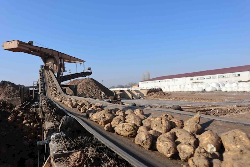 Malatya Şeker Fabrikası’nda hedef 55 bin ton şeker üretimi
