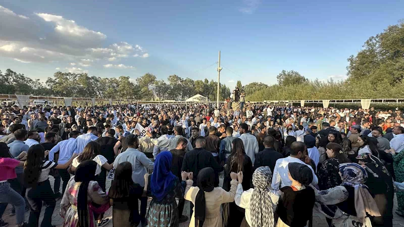 Aşiret festivaline 20 bin kişi katıldı, 300 koyun kesildi