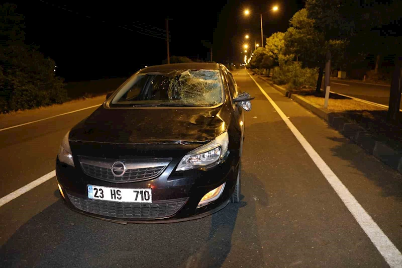 Elazığ’da otomobilin çarptığı kadın kurtarılamadı
