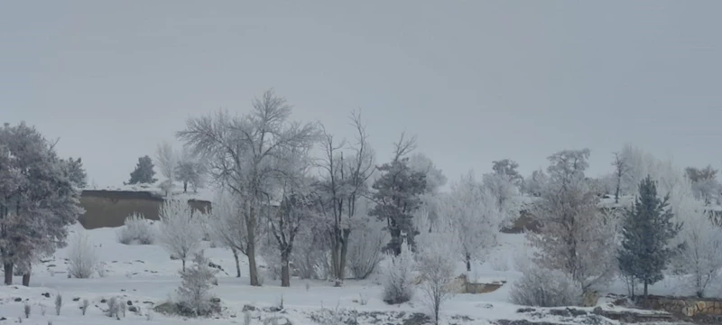 Erzurum buz kesti
