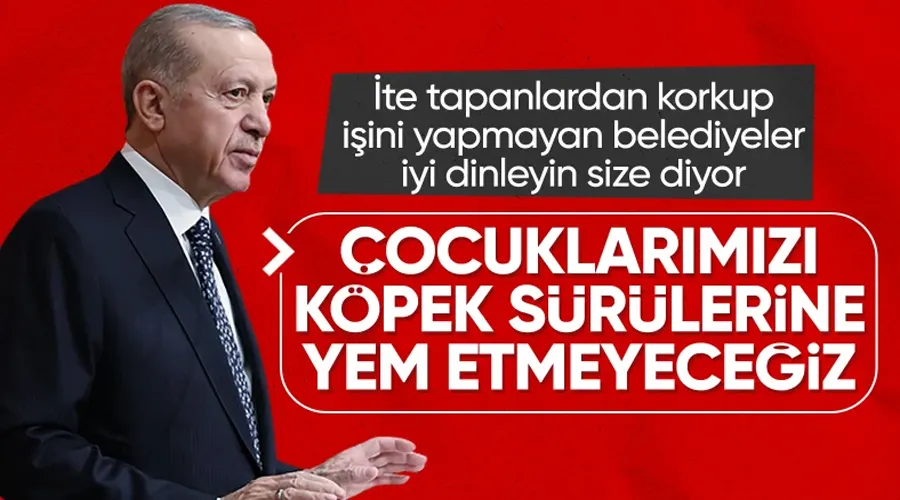 Erdoğan