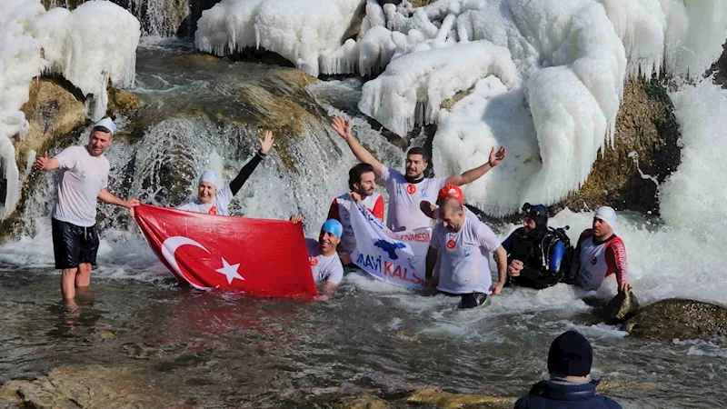 Van Gölü aktivistleri dondurucu soğuğa rağmen Muradiye şelalesine girdiler
