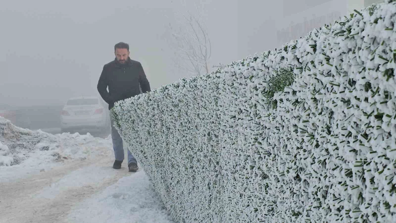 Bitlis’te dondurucu soğuk etkili oluyor: Ağaçlar kırağıyla kaplandı
