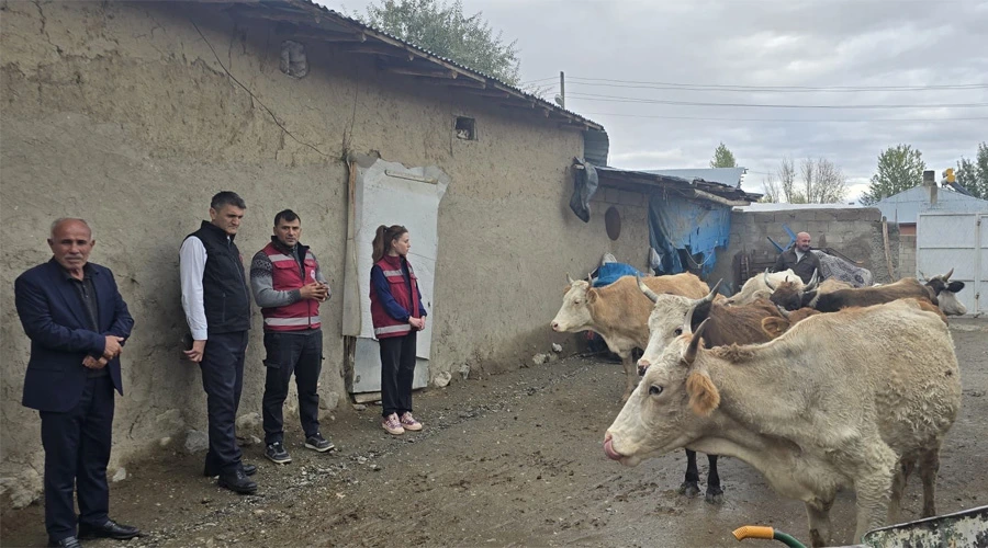 Van İl Tarım Müdürlüğü’nden Hayvancılıkta Eğitim Seferberliği: Buzağı Kayıpları Azalacak