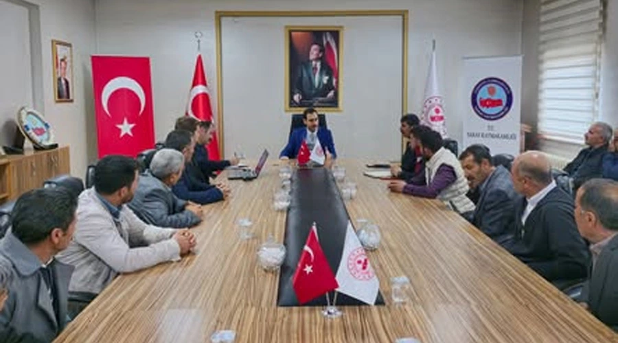 Saray