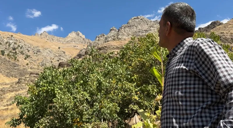 Hakkari’nin ’Dağ Keçileri Kalesi’ dikkat çekiyor
