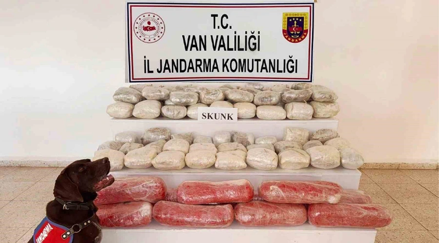 Van’da 61,9 kilogram skunk ele geçirildi