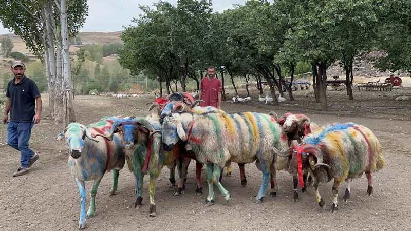 Kars’ta asırlık 