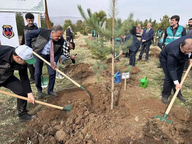 Bingöl’de 25 bin fidan toprakla buluştu
