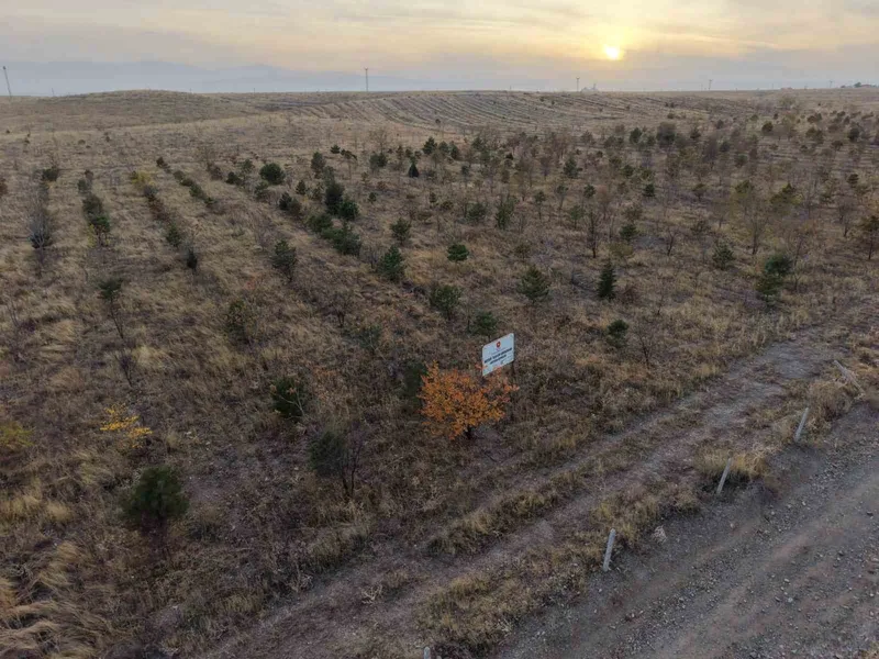 Iğdır’da fidanlar toprakla buluştu
