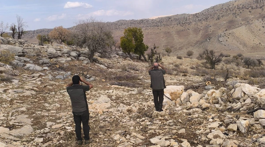 Kafes Avcılığı Yapan Şahıs Suçüstü Yakalandı: 20 Bin TL Ceza Kesildi