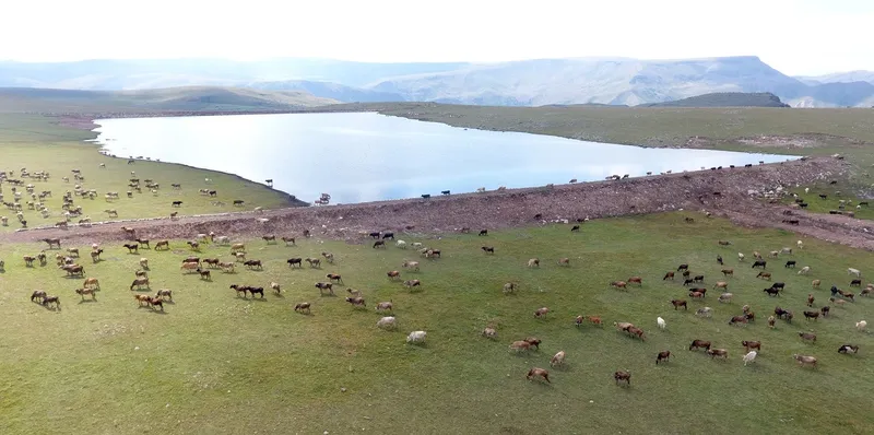 Gölet yapımında Türkiye’ye örnek olan şehir: Erzurum
