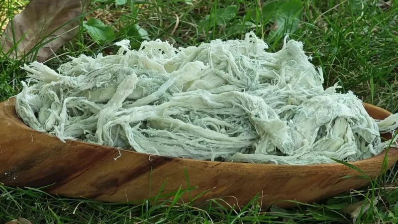 Yayladan sofraya doğal antibiyotik: Erzurum’un göğermiş peyniri
