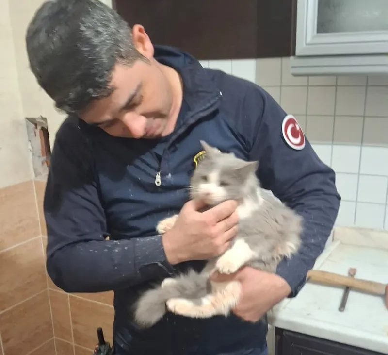 Malatya’da havalandırma boşluğuna düşen kedi kurtarıldı
