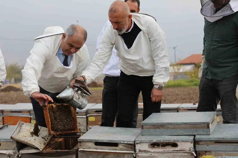 Elazığ arı kovanları incelendi
