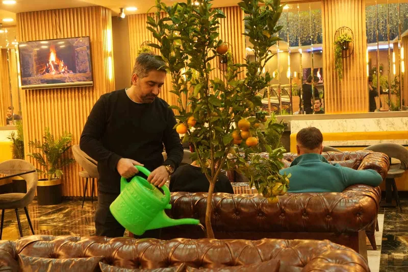 Kafede mandalina yetiştiriyor, müşterilerle paylaşıyor
