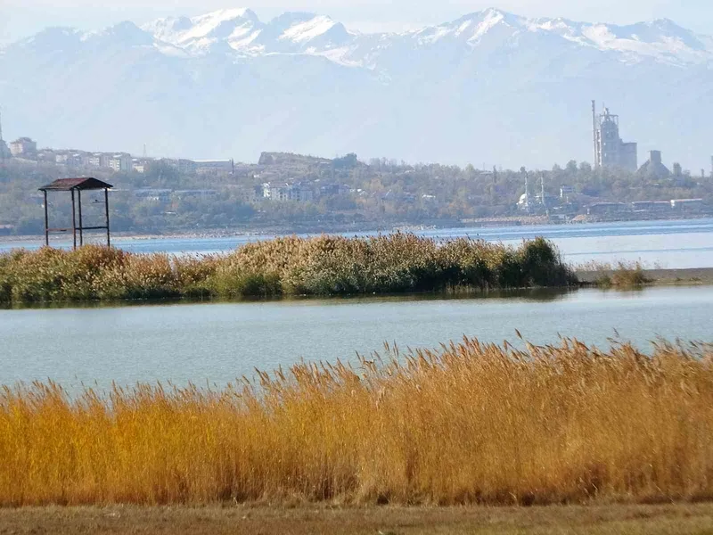 Van Gölü Havzası, Türkiye’nin en fazla sulak alanına ev sahipliği yapıyor