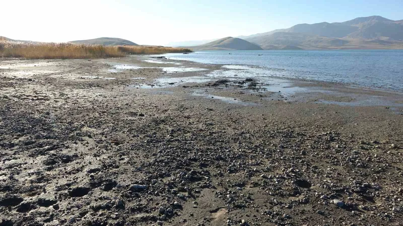 Erçek Gölü’nde su çekilince mikrobiyalitler ortaya çıktı
