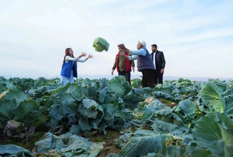 Muş Ovası’nda gönüllü gençlerden çiftçilere hasat desteği
