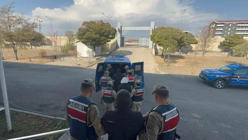 Jandarma’dan kaçak kazı operasyonu
