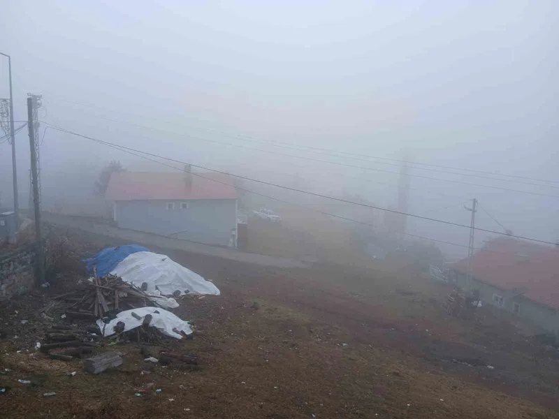 Posof’ta yoğun sis etkiliyor oluyor
