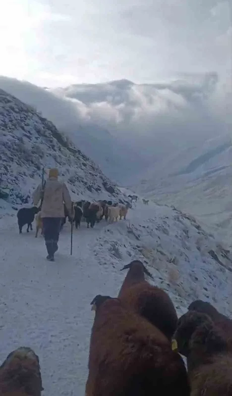 Ağrı’da kar ve tipi hayatı durdurdu
