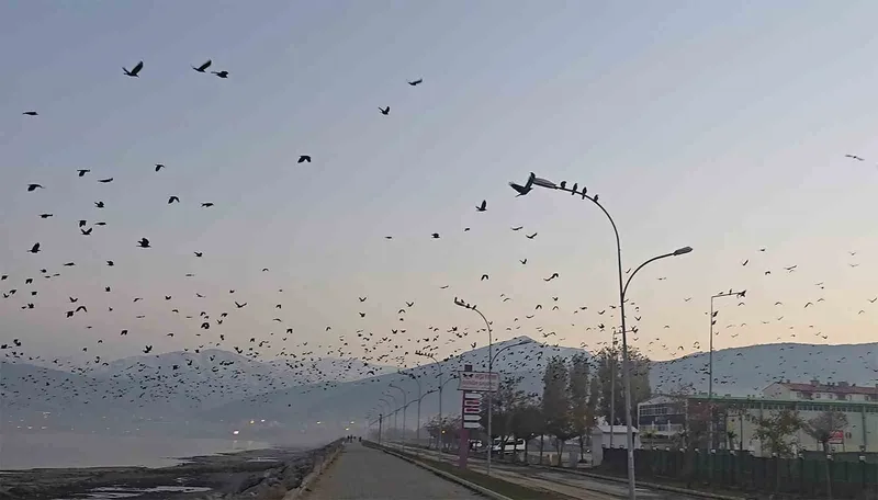 Tatvan sahilinde gökyüzünde sıra dışı manzara
