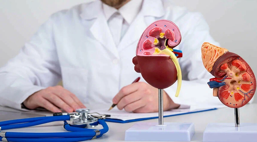 Özel Üroloji Doktoru Seçimi: Uzman Ürolog ile Sağlıklı Bir Gelecek