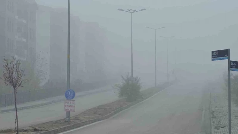 Elazığ’da yoğun sis, bir mahalle adeta kayboldu
