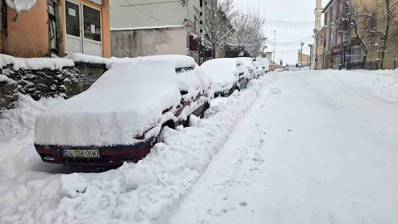 Tunceli’de kar yağışı etkili olmaya başladı
