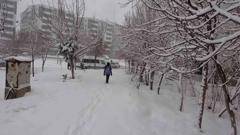 Bitlis’te kar yağışından dolayı 111 köy yolu ulaşıma kapandı
