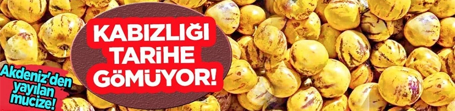 Pepino: Egzotik Lezzet, Şifa Kaynağı! Kilosu 120 TL Olan Bu Meyve Sağlığa İnanılmaz Faydalar Sunuyor