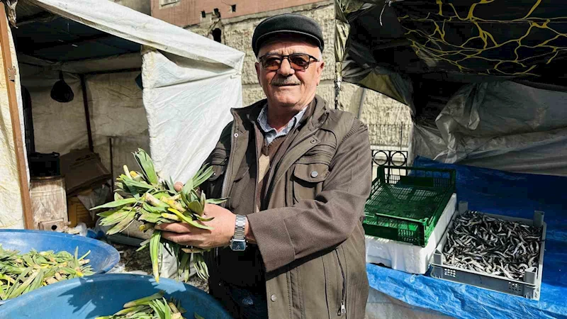 Çiriş otu tezgahlarındaki yerini aldı
